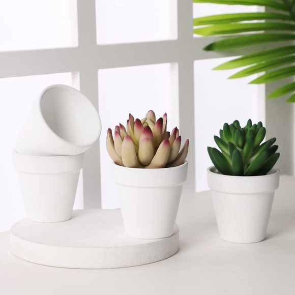2.5 Inch White Terracotta Pots - Picture 1 of 6